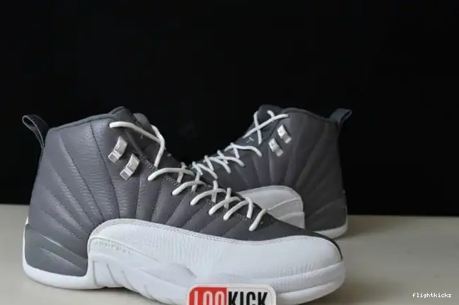JORDAN STEALTH 12 AIR CT8025-610 0706